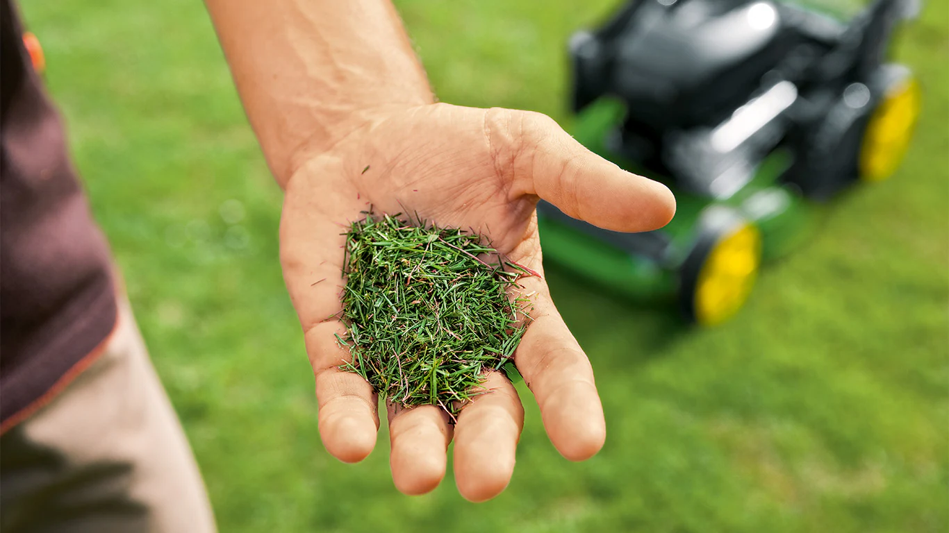 Image illustrabt une photo de mulch