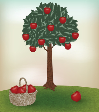 Image illustrant un arbre fruitier