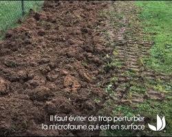 Photo de préparation de sol en vue de planter une haie