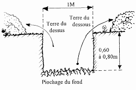 Schéma représentant le trou de plantion
