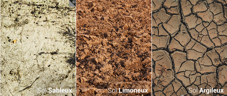 Types de sols